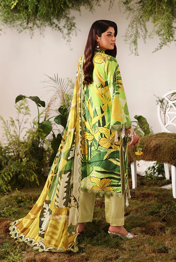 Lime Peel - 00162 - Image 4